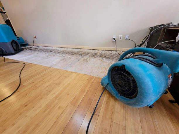 Professional Water Removal technician working in Barnesville, MD